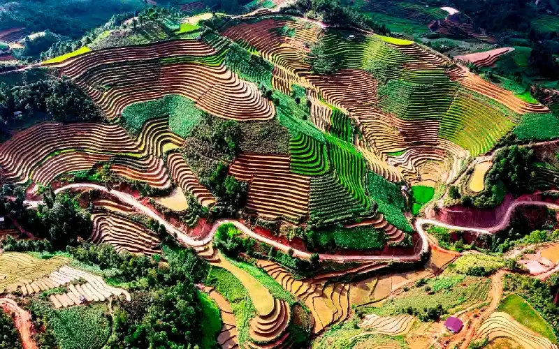 Aerial view of terraced rice fields on the hillsides around Mu Cang Chai